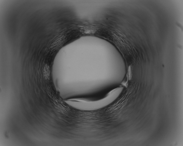 X0000097471443200803201438