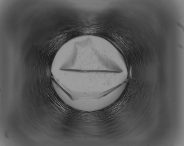 X0000097471444200803201438