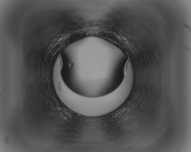 X0000097471445200803201438