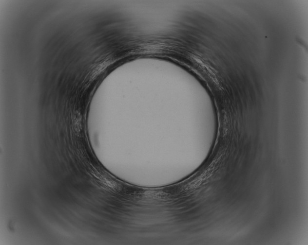 X0000097471449200803201437