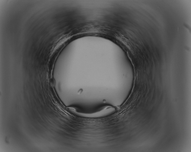 X0000097471452200803201437