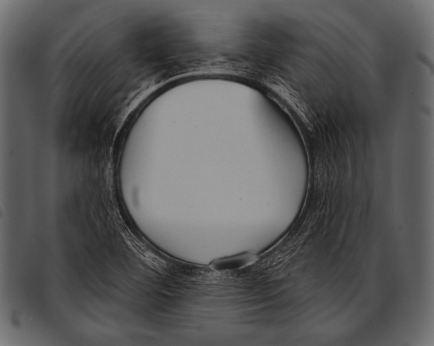 X0000097471460200803201437