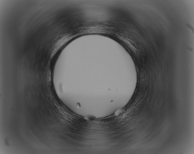 X0000097471461200803201437