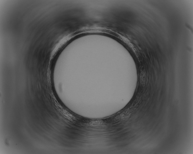 X0000097471464200803201437