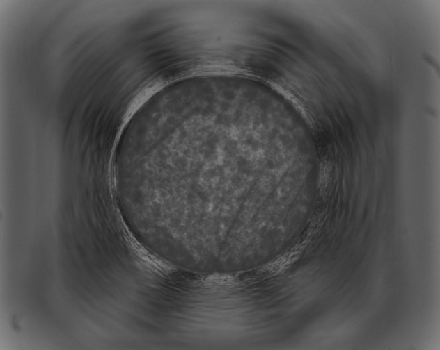 X0000097471466200803201437