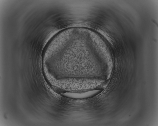 X0000097471468200803201437