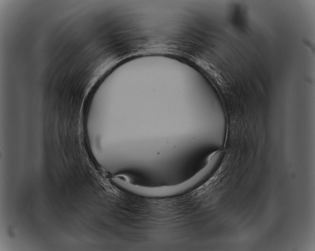 X0000097471469200803201437