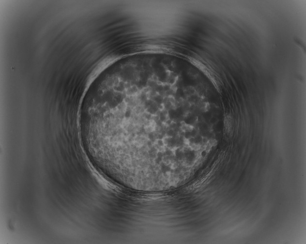 X0000097471482200803201437