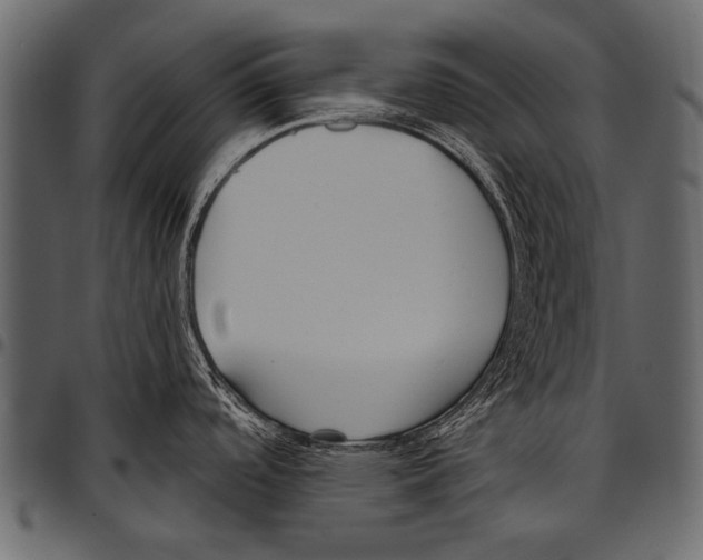 X0000097471488200803201437