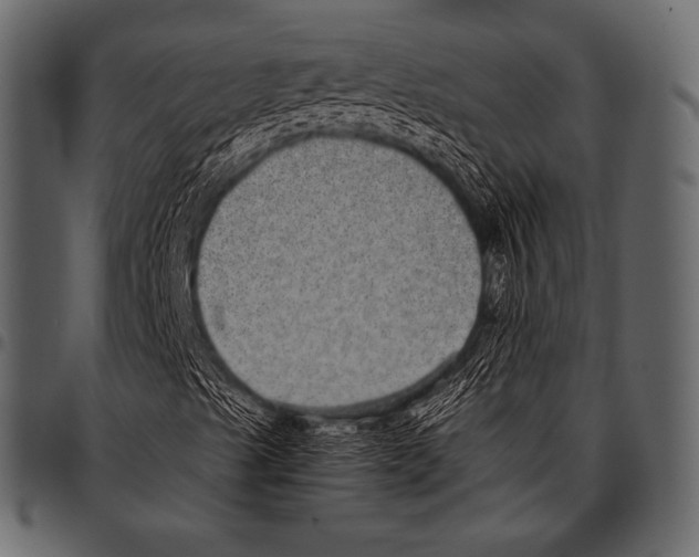 X0000097471489200803201436