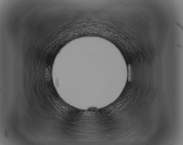 X0000097471491200803201436