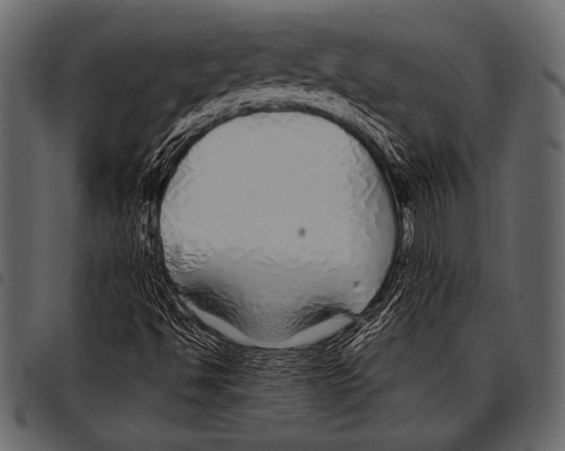 X0000097471494200803201436