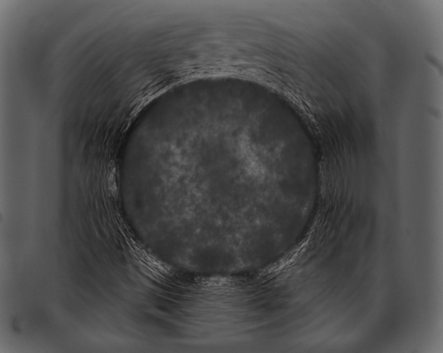 X0000097471497200803201436