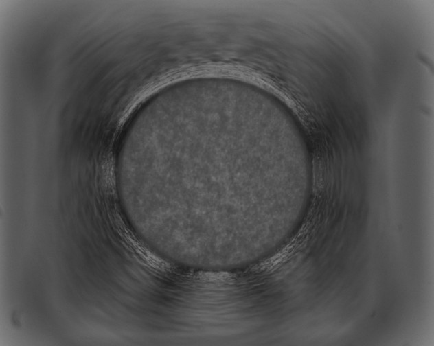 X0000097471498200803201436