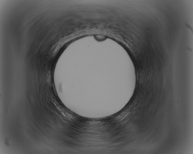 X0000097471499200803201436