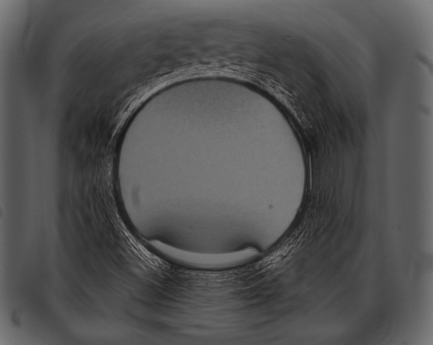 X0000097471500200803201436