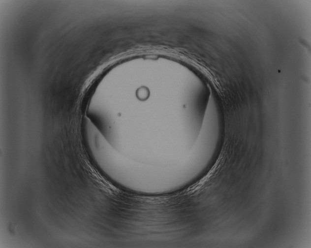 X0000097471502200803201436