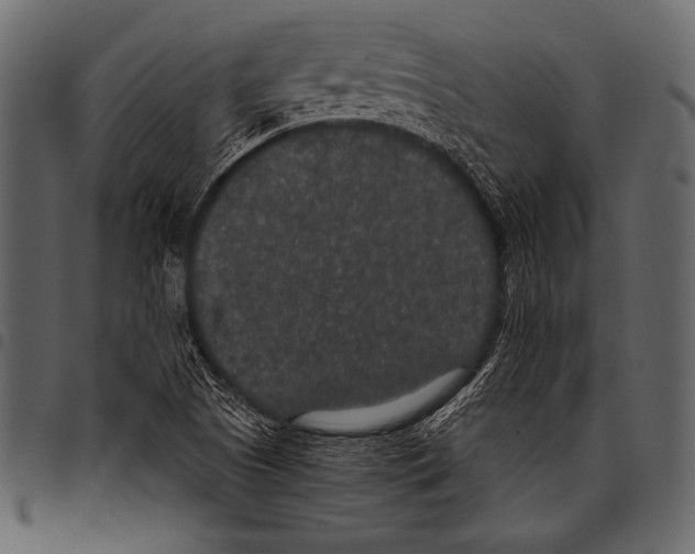 X0000097471505200803201436