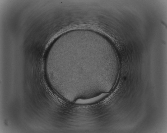 X0000097471506200803201437