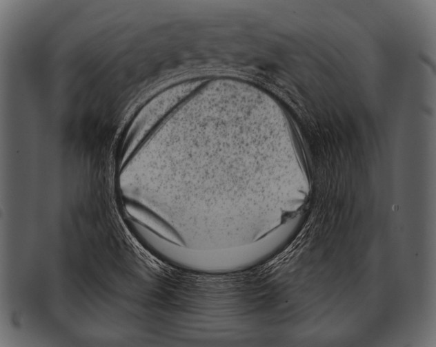 X0000097471508200803201437