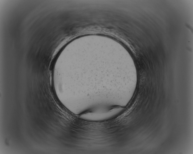 X0000097471509200803201437