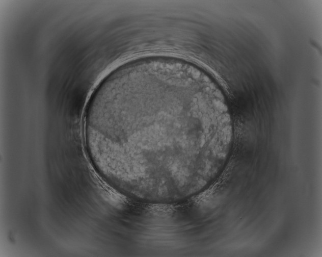 X0000097471514200803201437