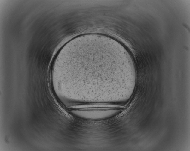 X0000097471517200803201437