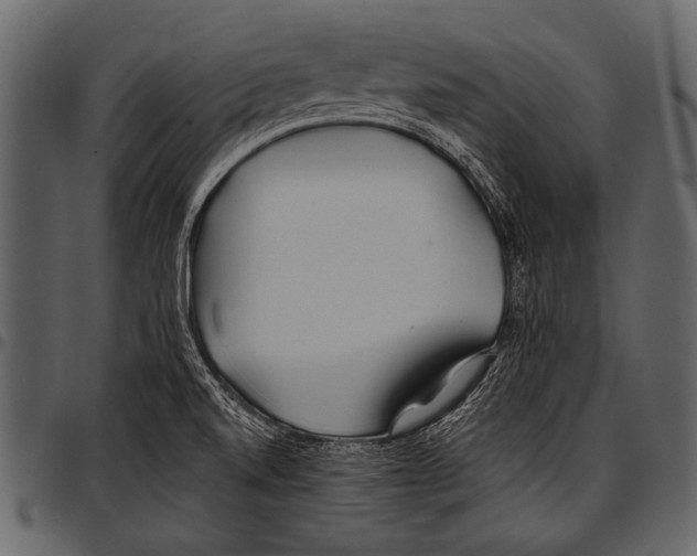 X0000097471520200803201437