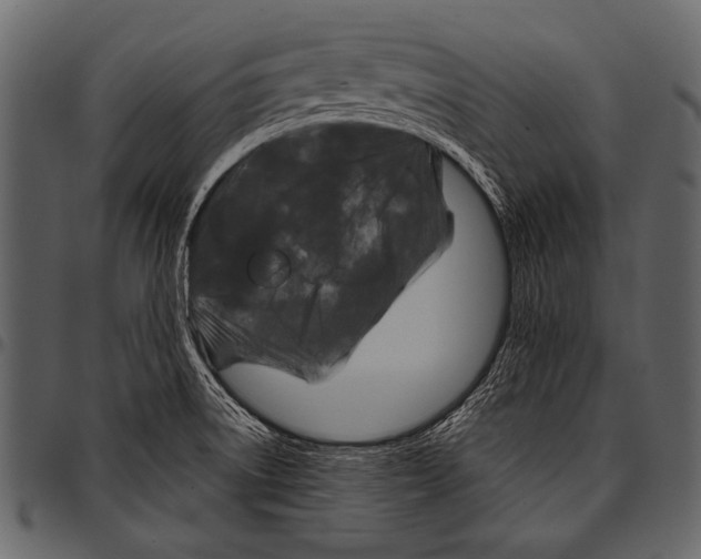 X0000097471522200803201437