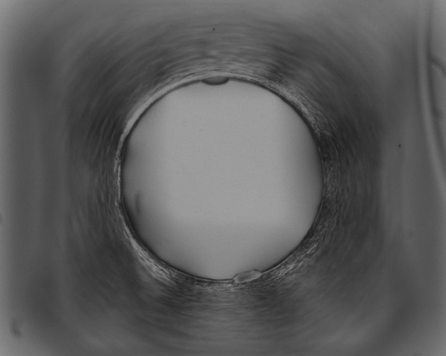 X0000097471524200803201437