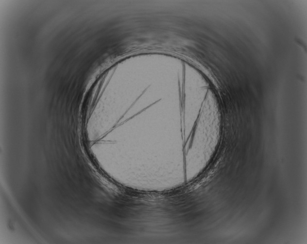 X0000097471525200803201437