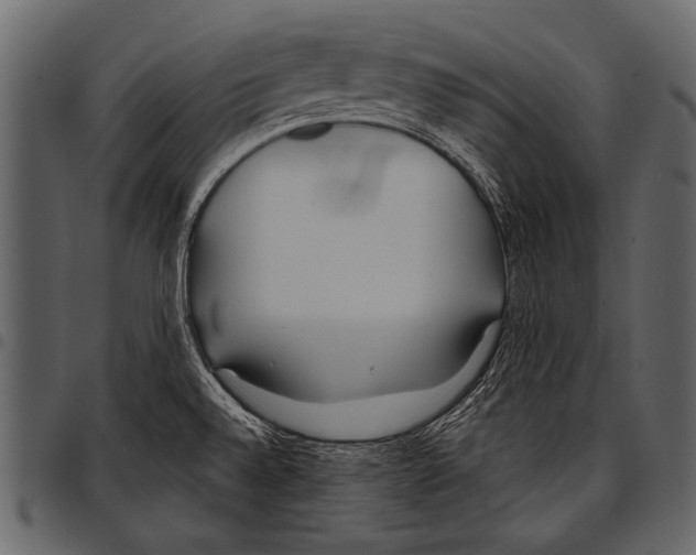 X0000097471528200803201437