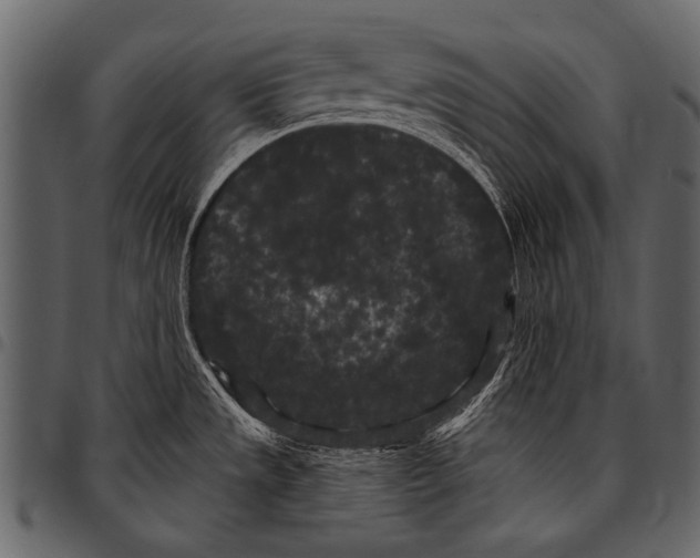 X0000097471533200803201437