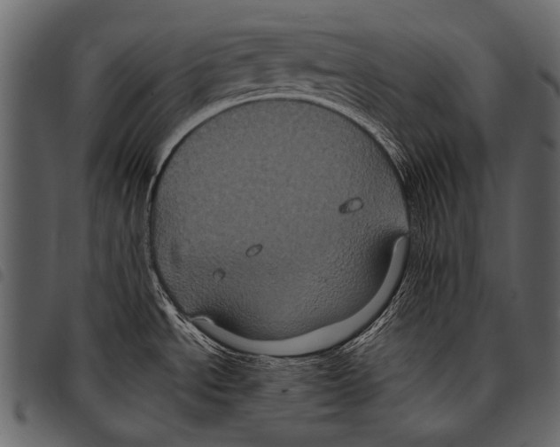 X0000097471534200803201437