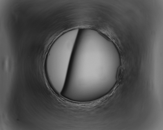 X0000097480001200802220830