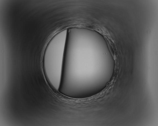 X0000097480003200802220830