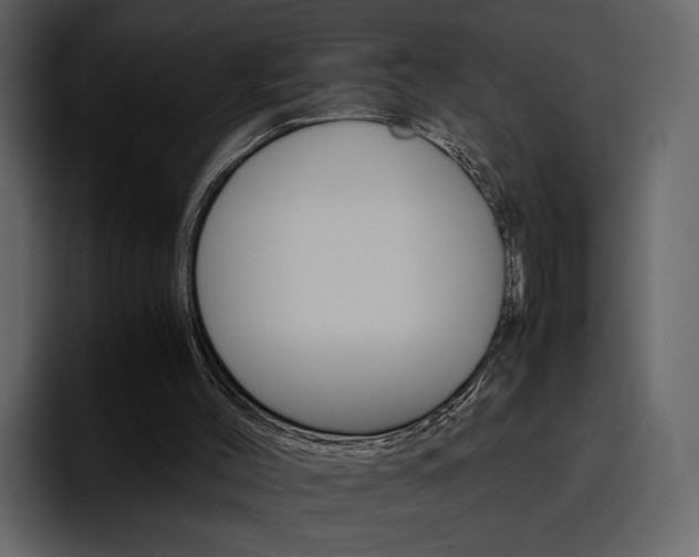 X0000097480004200802220830