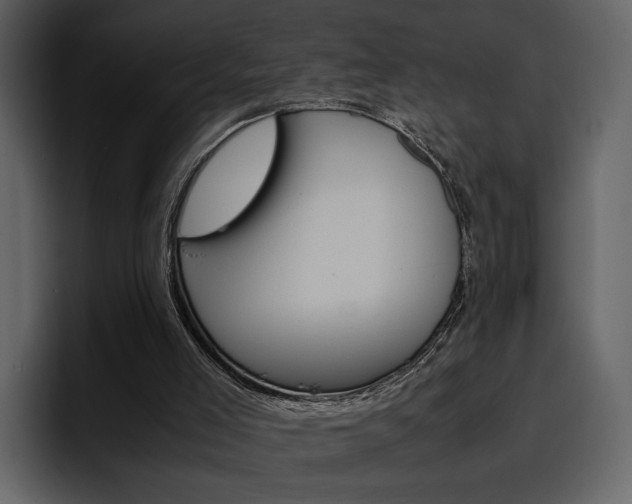 X0000097480005200802220830