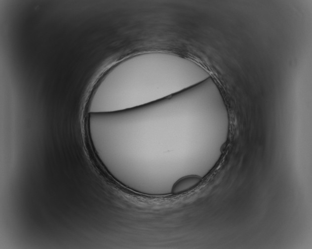 X0000097480006200802220830