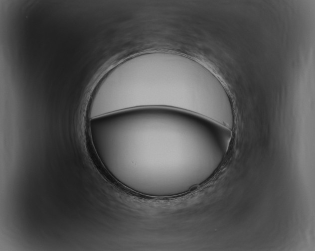 X0000097480007200802220830