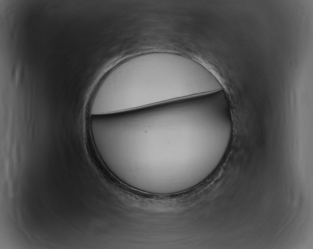X0000097480008200802220830