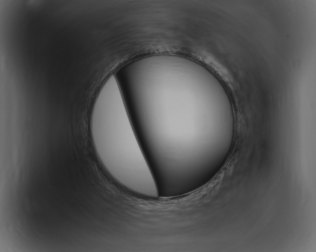 X0000097480009200802220830