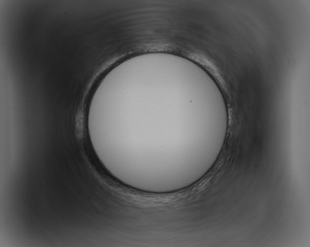 X0000097480012200802220830