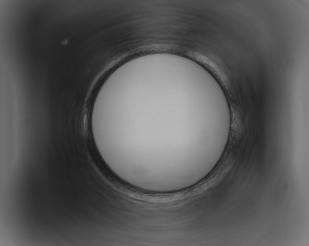 X0000097480016200802220830