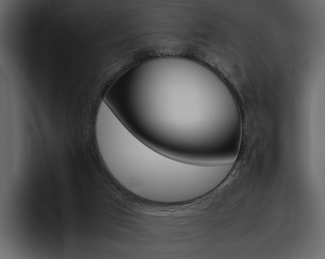 X0000097480017200802220829