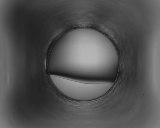 X0000097480019200802220829
