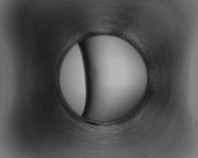 X0000097480020200802220829