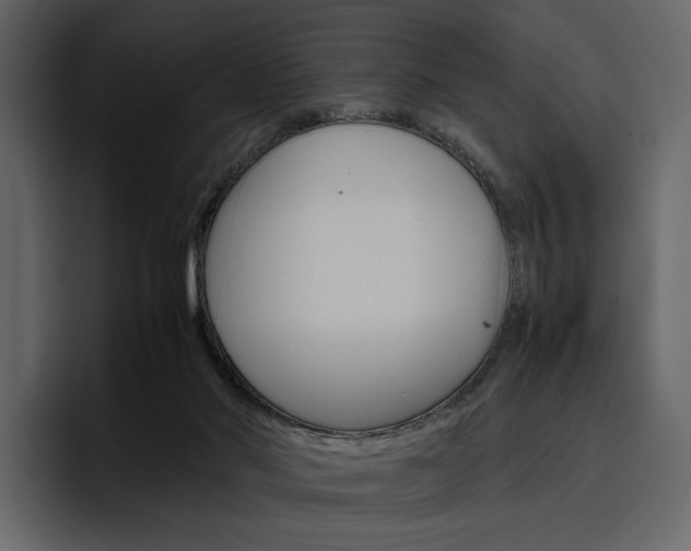 X0000097480022200802220829