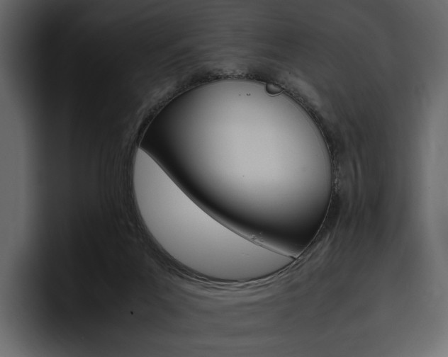 X0000097480023200802220829