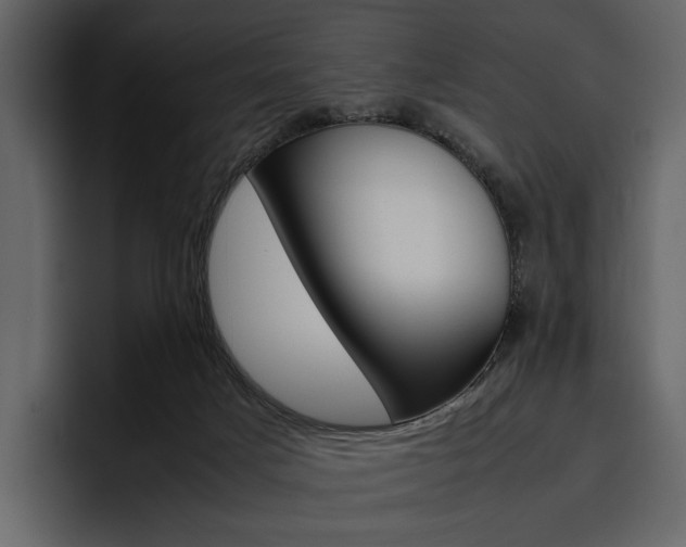 X0000097480025200802220829
